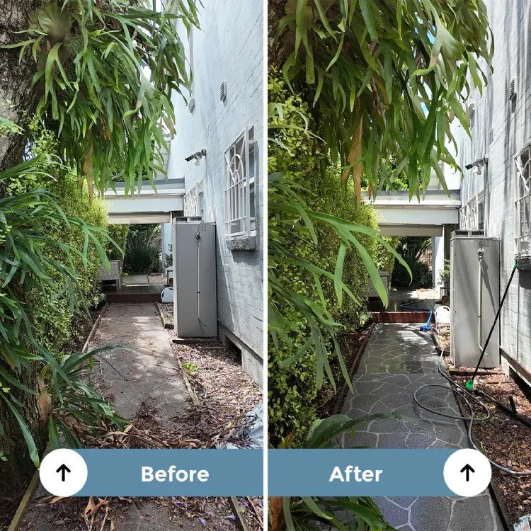 Exterior path before and after cleaning